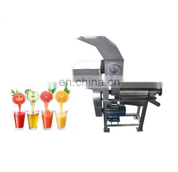 New design carrot juice making machine/Ginger juice extractor/Apple juice press machine