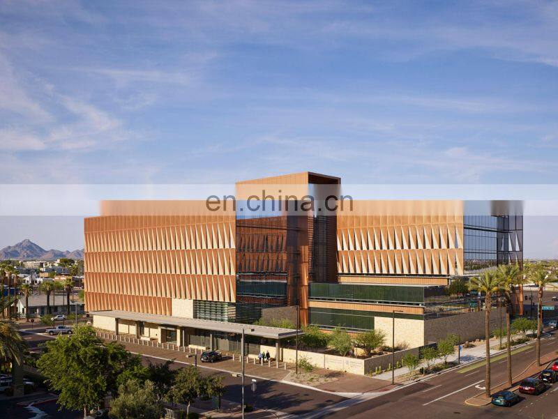 Custom Colored Punching Mesh Perforated Metal Mesh