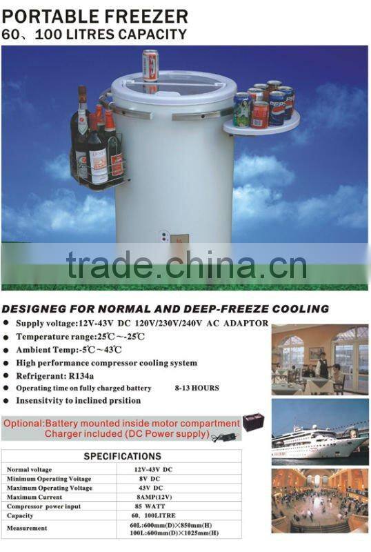 60L/100L DC car fridge