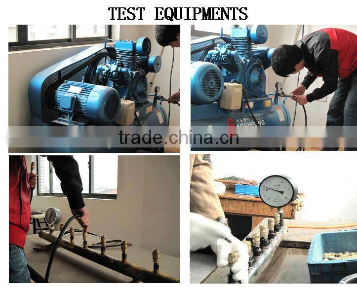 Pneumatic hose hose barb connection