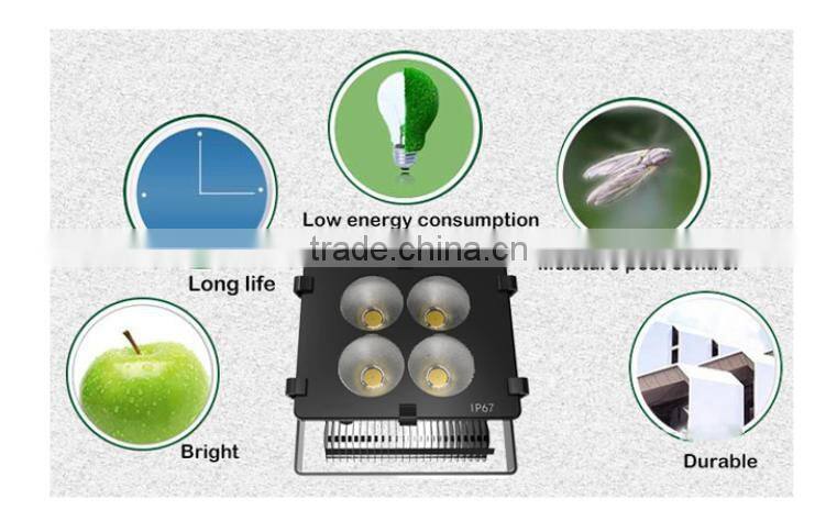 100Watt 9000Lumens 220V SMD LED High Quality Hid Outdoor Flood Light