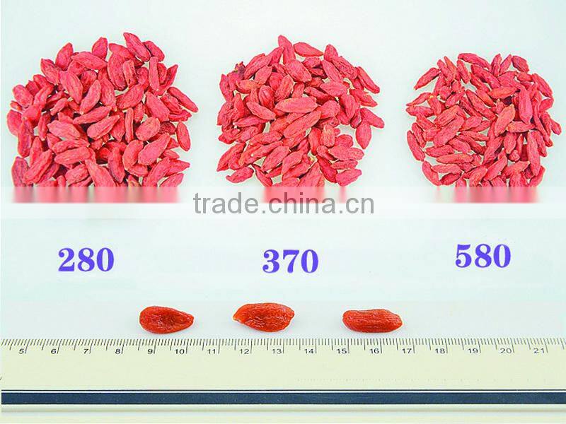 Super china natural herb medicines dried fruit tea gouqizi relieve cough dried wolfberry medlar herbal tea