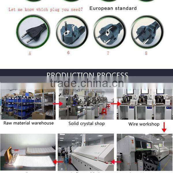 Festival Color Led Digital Strip Light SMD5050 With CE