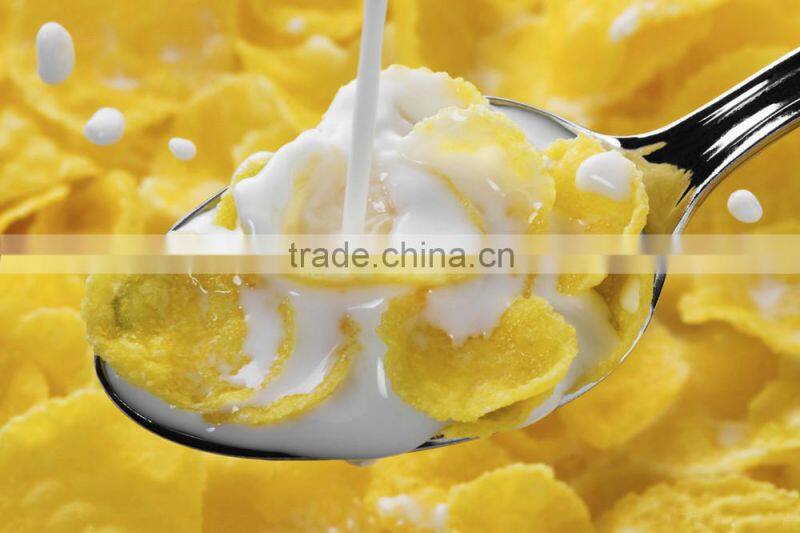 Popular Breakfast Cereal &Corn Flakes Production Line