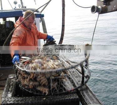 USA Steel wire crab trap