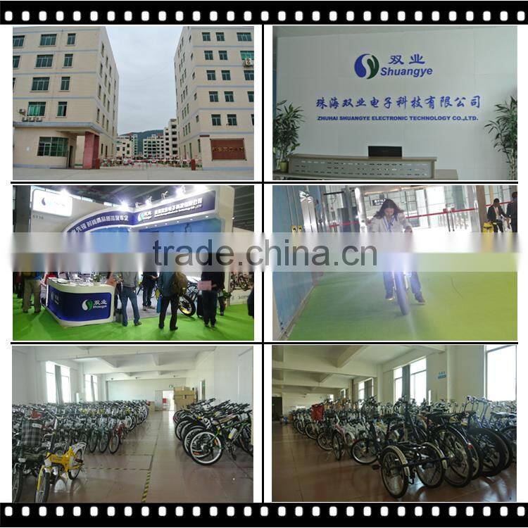 CE battery Electric bicycle kit / E bike conversion kit / 24V/36V/48V 250-1000W Motor