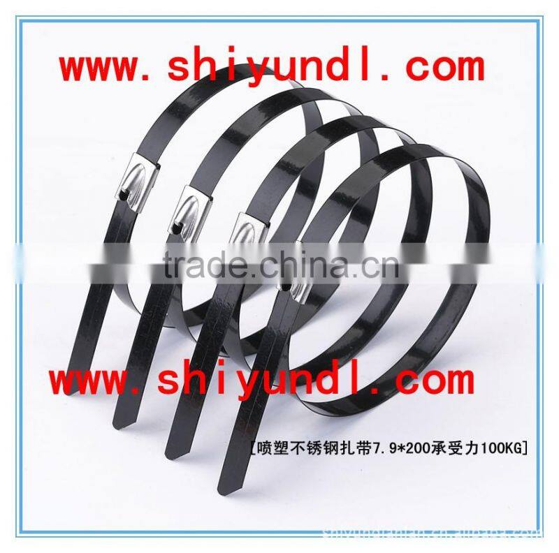 Stainless steel 304 barb nylon cable tie