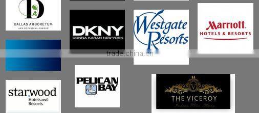 Runabout UTV With Customizable Van Box Electric utility van vehicle