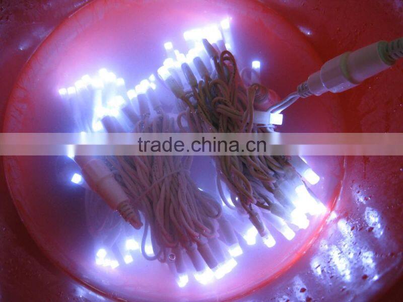 steady wire frame christmas light motif