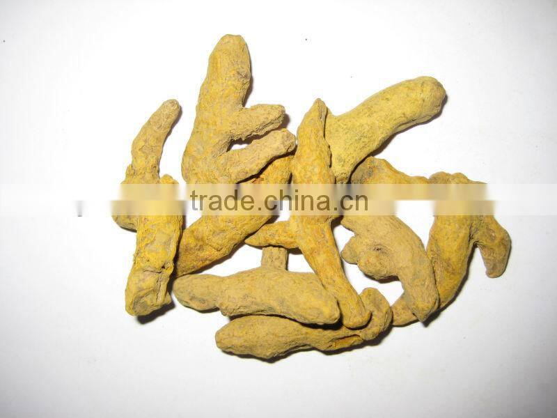 Turmeric finger 2014 strong taste