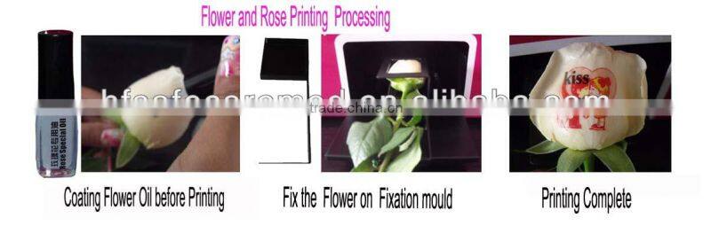 Hot Sale Digital Multifunctional Nail Art Printer Machine