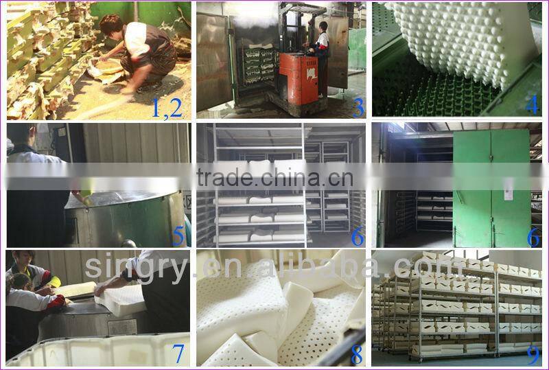 Fashion 100% Latex Competitive Price Wholesale Massage Pillow