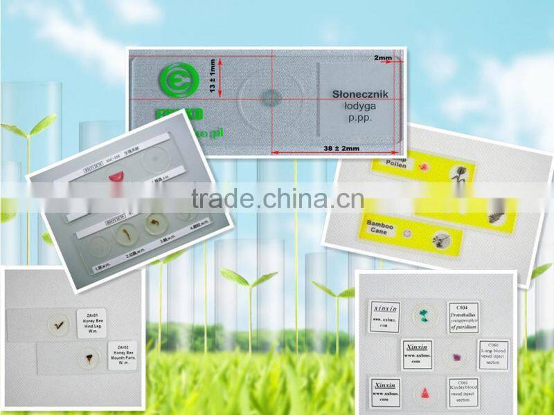 Educational supplies teaching medical survey and bacterial prepared slides