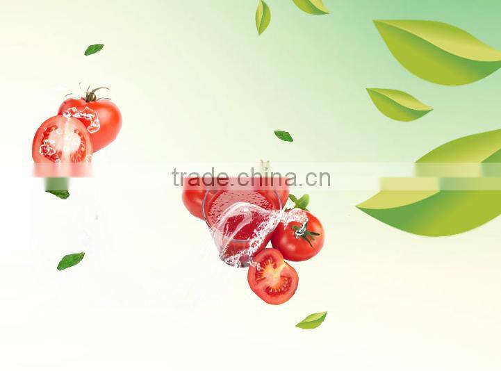 Made in china OEM ODM ketchup export Saudi Arabia Canned Beads In Tomato Sauce 425g 227g Beads In Tomato Paste