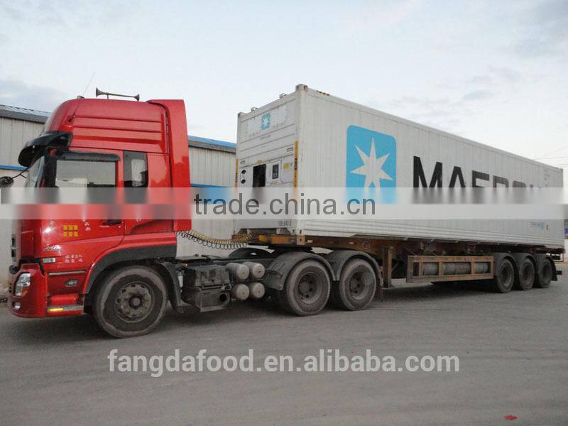 Cold storage fresh apple/low price