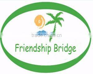 Fresh cut Chrysanthemums flower