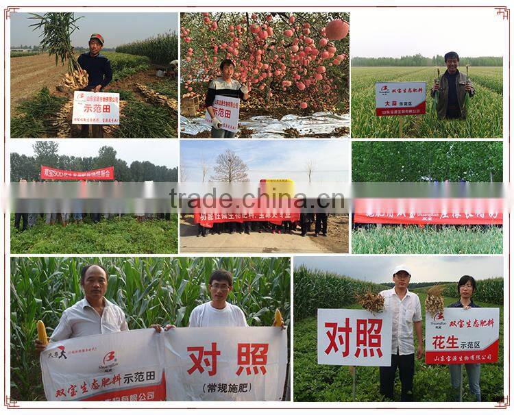 Plant Root Rapid Growing Liquid Fertilizer