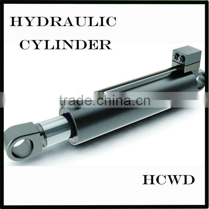 professional Hydraulic Cylinder for Log Splitter