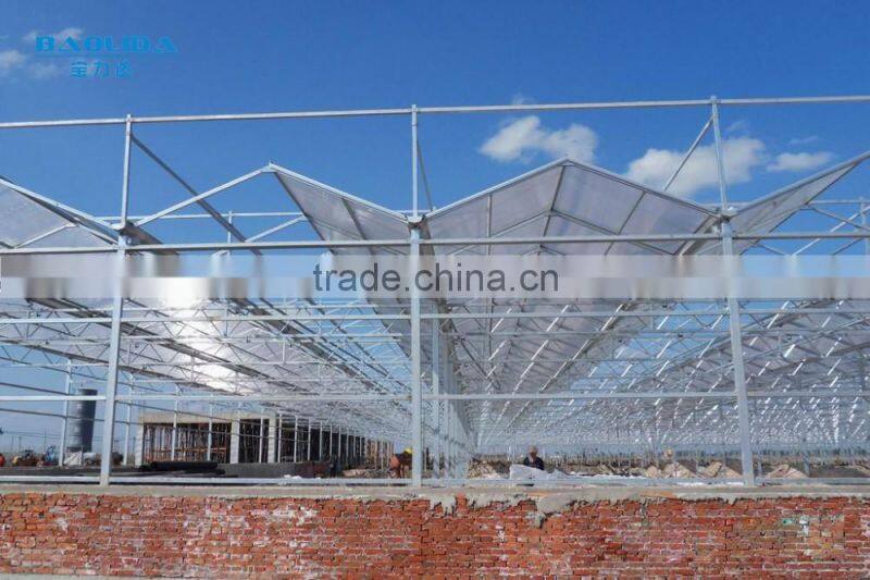 chengdu BaoLiDa low price 20 micron polythene greenhouse pe film greenhouse