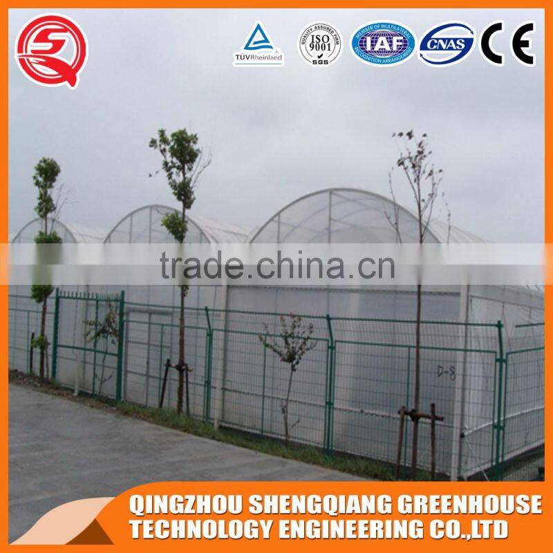 Multi-span plastic tomato greenhouse hot galvanized steel frame
