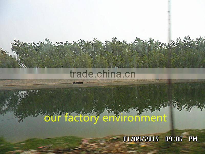 Cats food 2.5 cm mealworm:dried mealworms