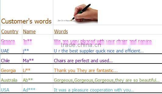 SinoFur Royal clear resin napoleon chair