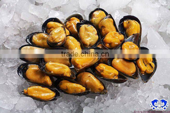 Boiled mussel meat with half shell seafood