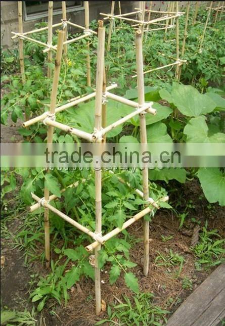 Cheap make bamboo garden trellis,bamboo cane trellis
