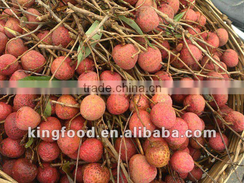 Supply new crop frozen lychee