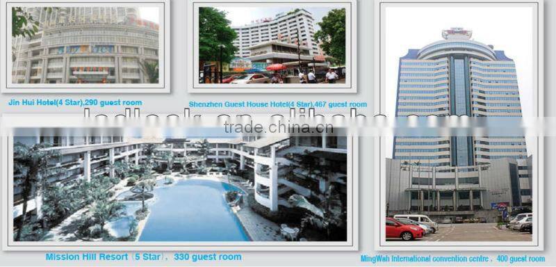 shenzhen electronic lock wifi lock lsd 606