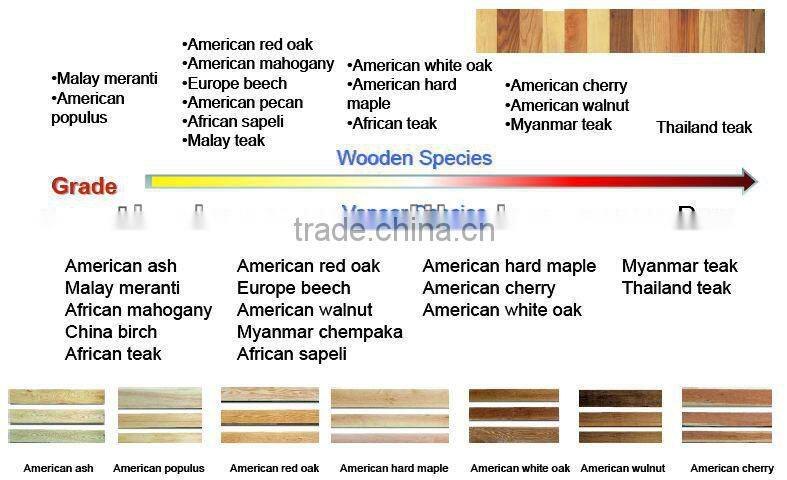 BS certificate fire door