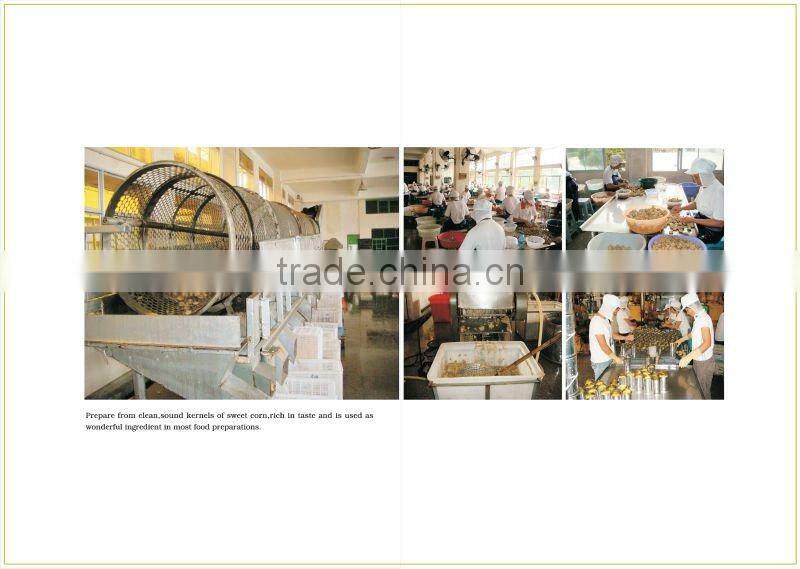 Canned Kidney Beans Canned White Beans in Brine