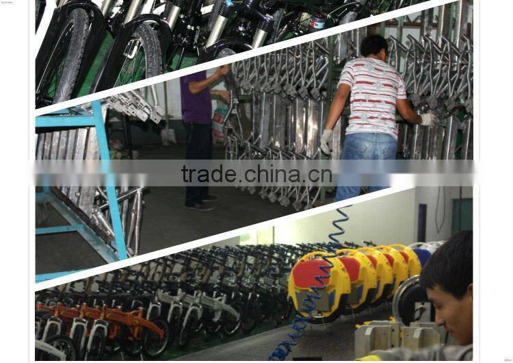 Modern sport style new coming two wheel electric scooter skateboard