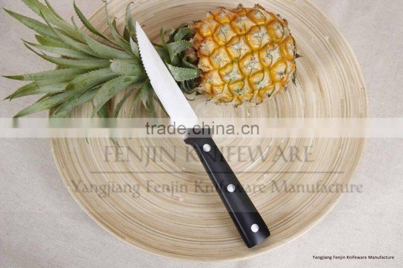 4PCS Clam Shell Package POM Serrated Steak Knife Set