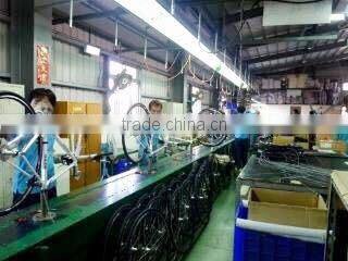 P1- ELECTRIC ROAD BIKE