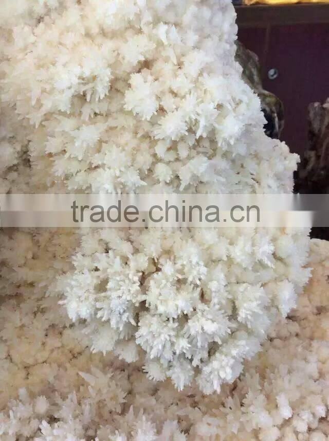 Wholesale vharming amazing nature white crystal quartz cluster for home decoration