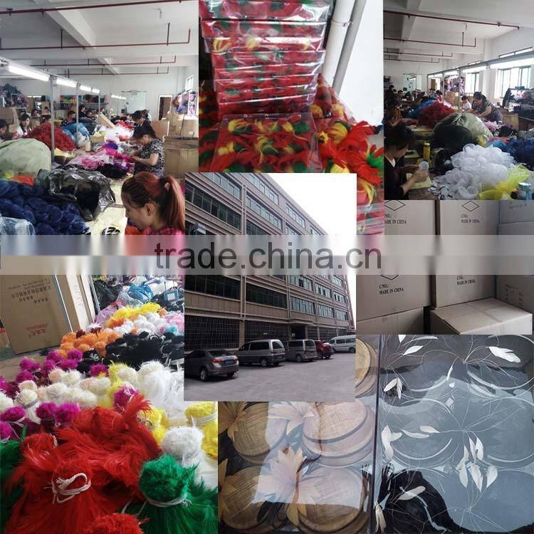 Beautiful Fashion Bow Hair Clip Lace Feather Top Hat Fascinator Burlesque Club Party Hat