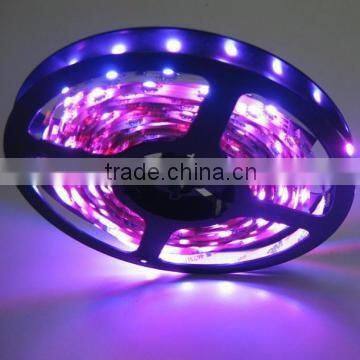 5050SMD LED Strip Light