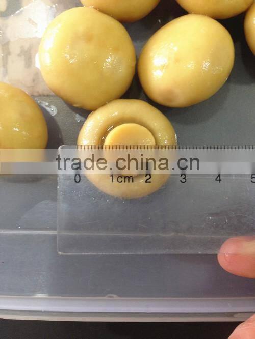 Top Quality Fresh Whole Canned Button Mushroom
