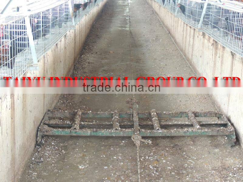 TAIYU Automatic Poultry Battery Cage for Nigerian Farm
