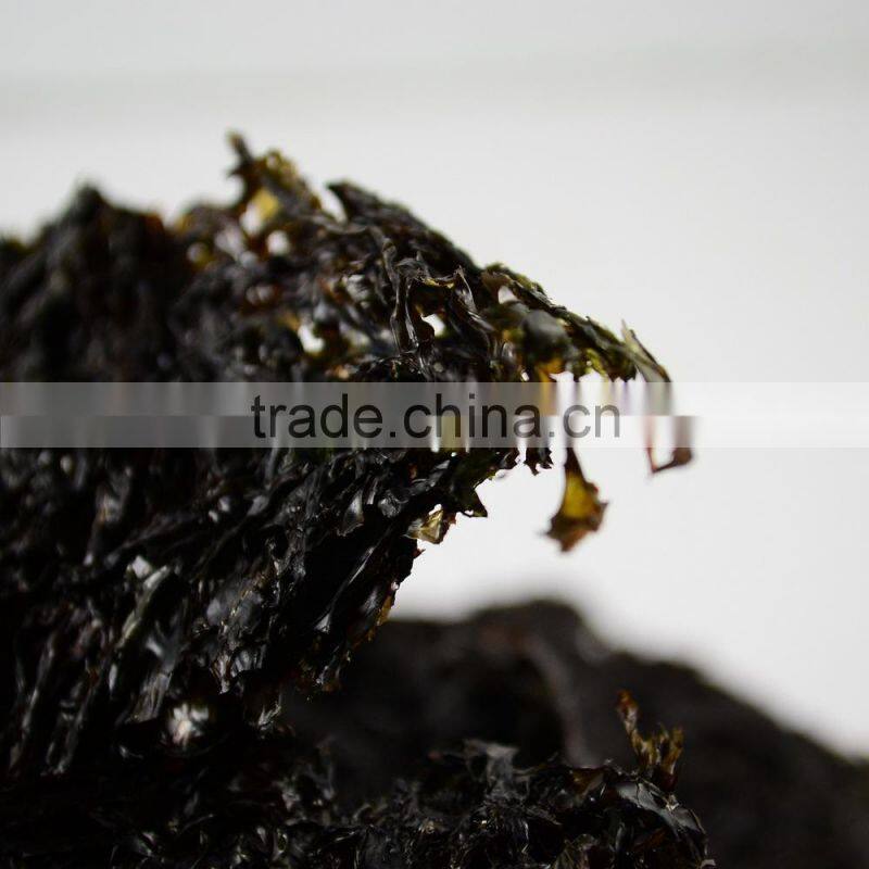Laminaria nori seaweed,roasted seaweed snack,sea moss,food grade