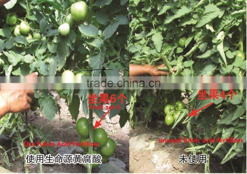 fulvic acid amino acid foliar fertilizer