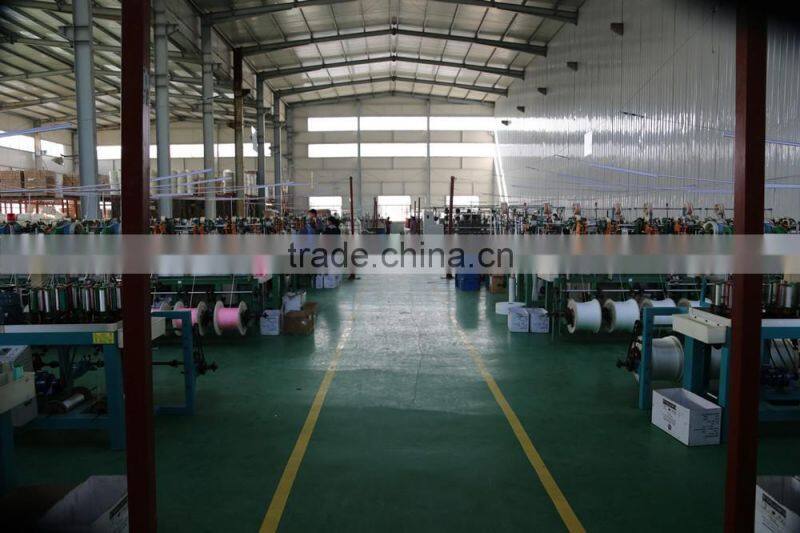 Single-screw Screw Design PP PE PET Monofilament Extruder Machinery / Rope Roping Production Line