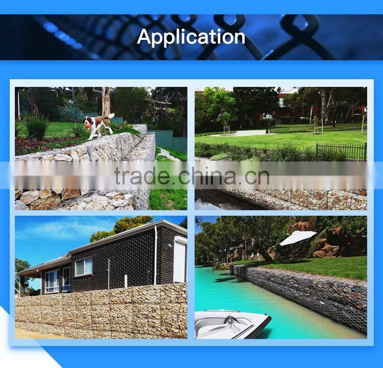 Anping Hexagonal Wire Mesh