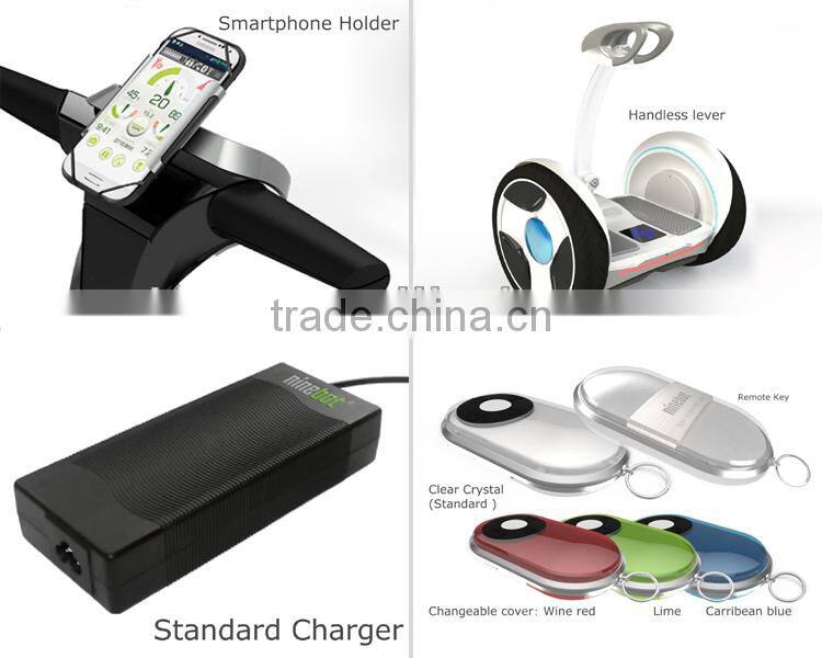 Self Balancing Electric Personal Transporter