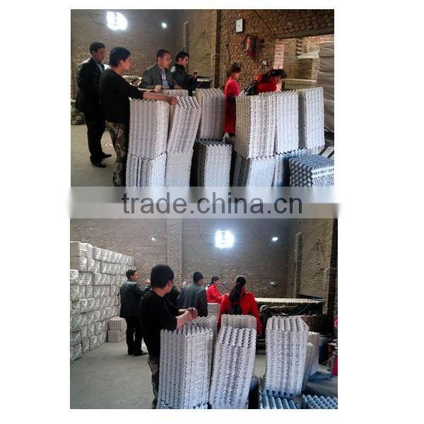 3*5 package pulp paper apple tray