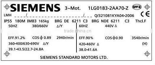SIEMENS asynchronous motor