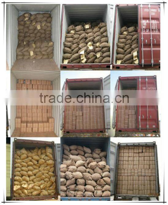 1 inch to 6 inch common nail/Common wire nails