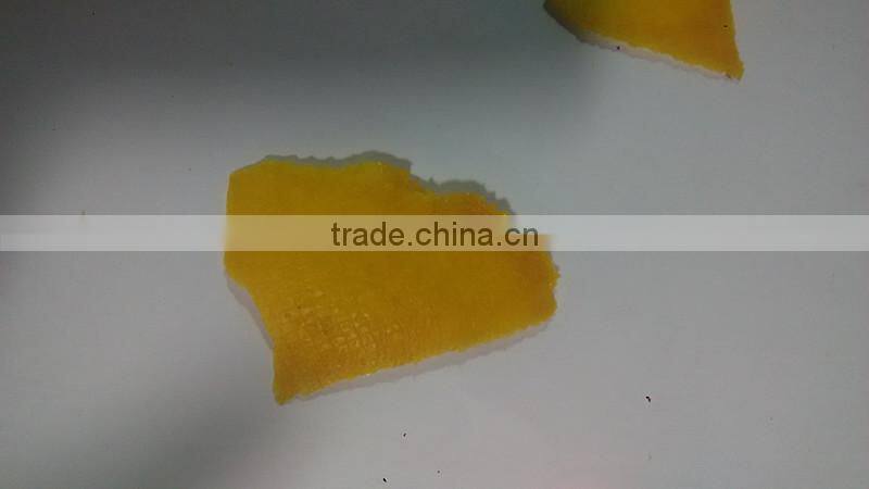 microwave vacuum dryer for mango/mango slice