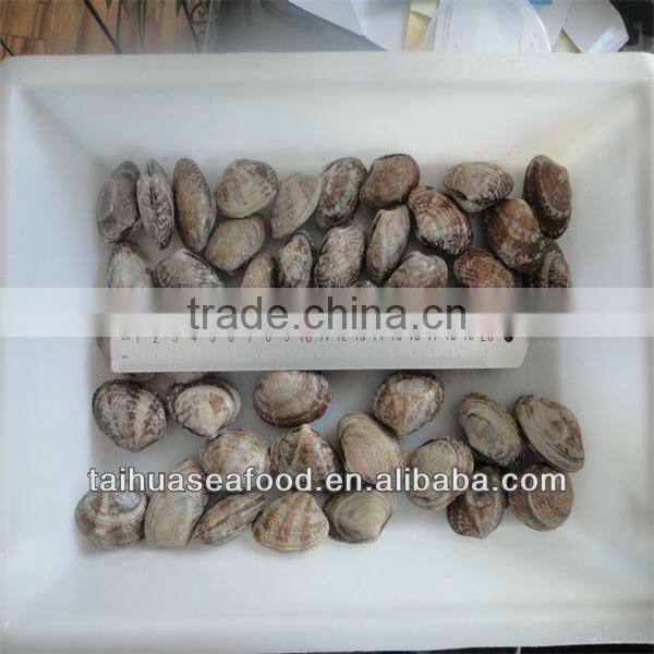 sea best frozen seafood conch